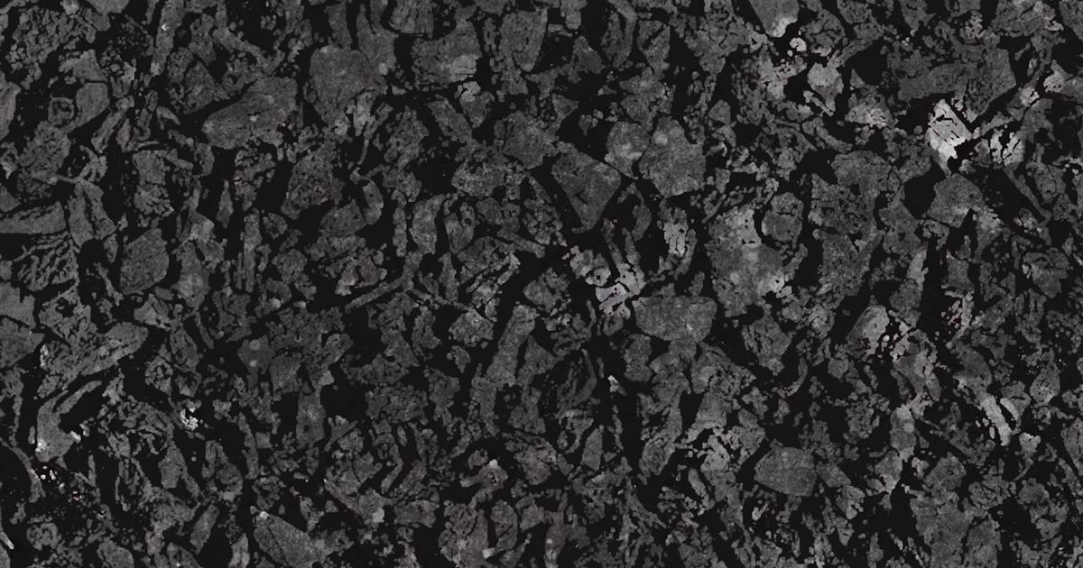 Carvão biológico: entenda o que é biochar e por que ele é tão importante