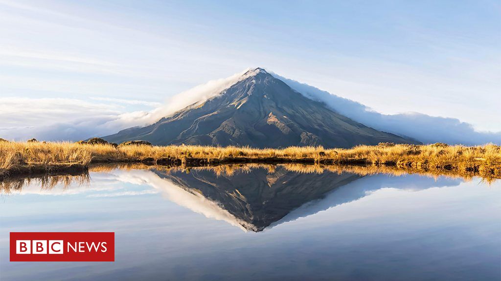 Crise climática: 7 boas notícias para o planeta em 2024 que você pode ter perdido