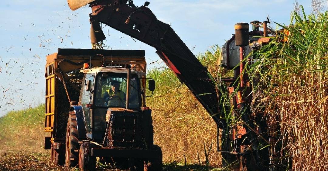 Entidades do setor de combustíveis divulgam carta...