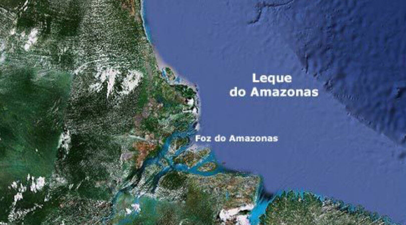 Margem equatorial: Petrobras terá duas bases para tratar fauna marinha