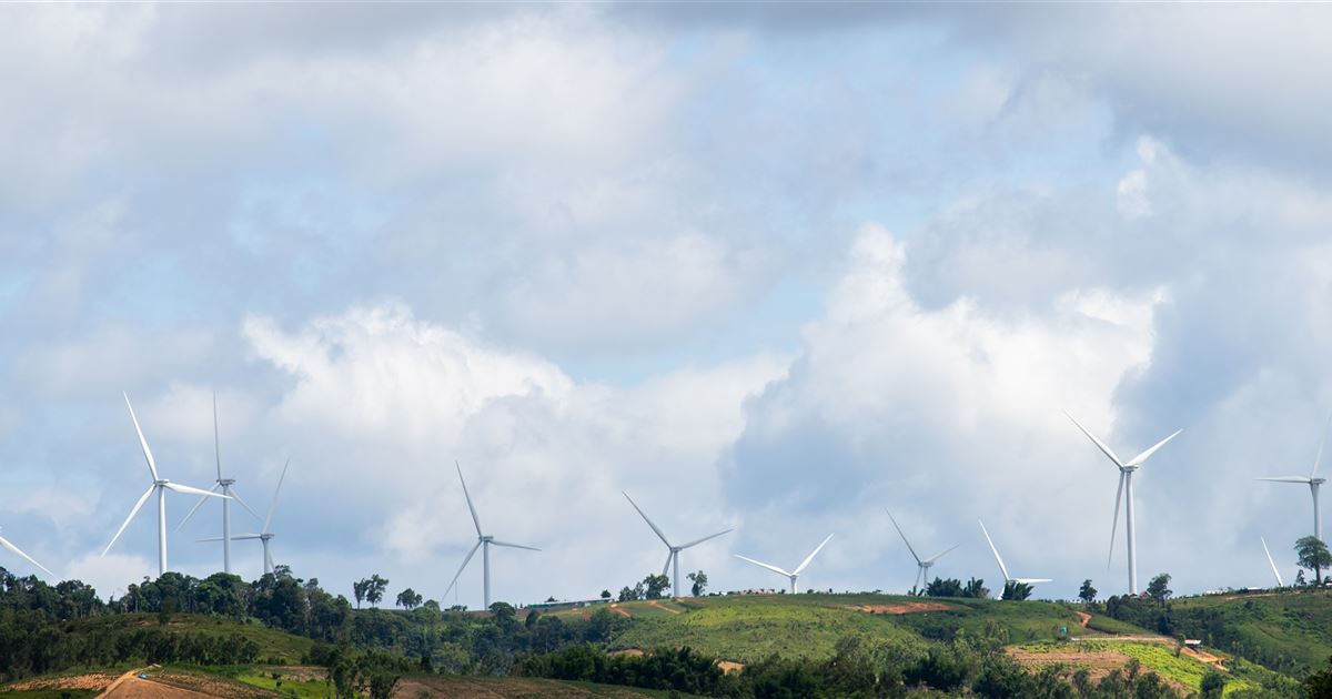 Regeneração, transição energética e a produção agropecuária