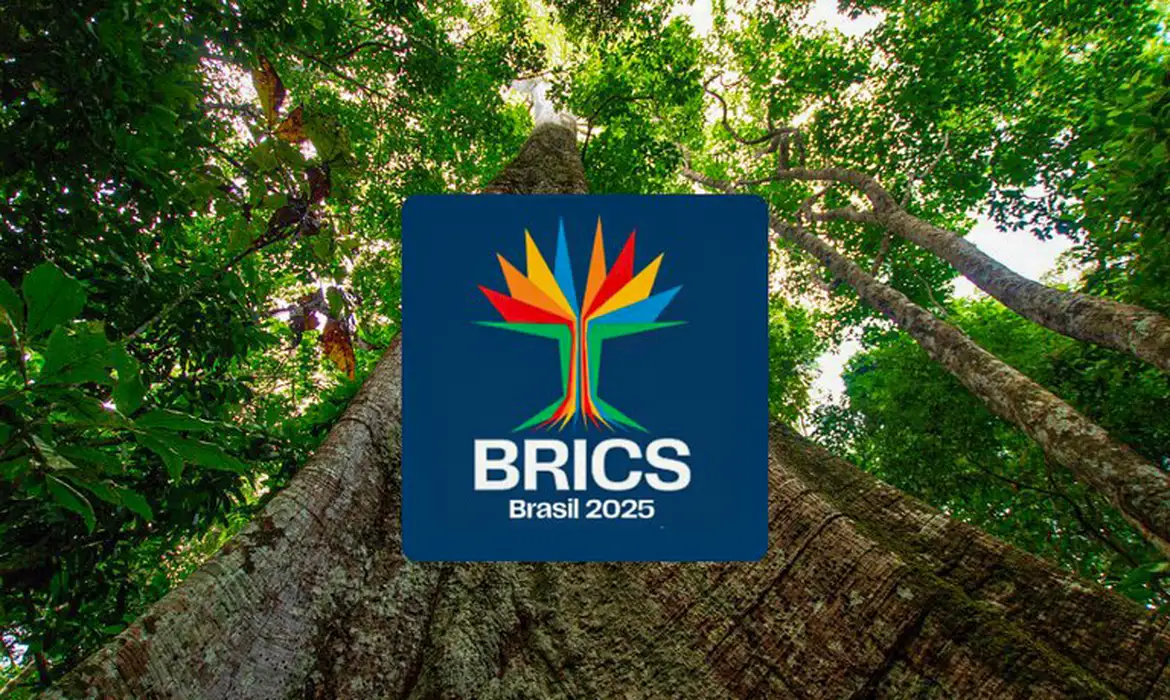 Identidade Visual Do Brics Brasil