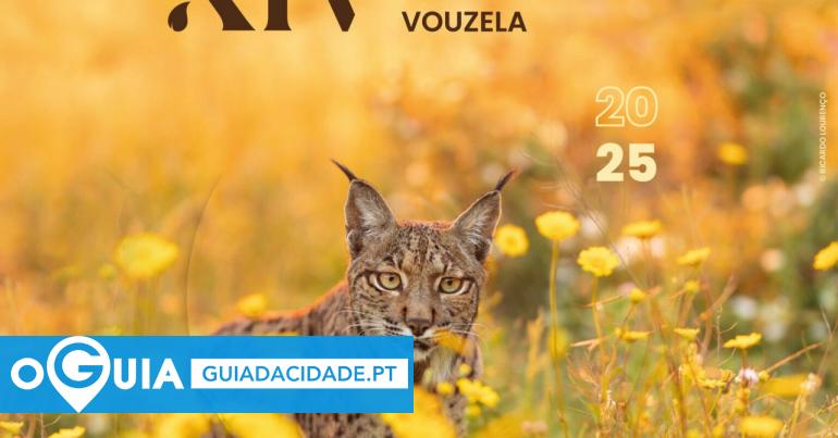 Festival de Imagem de Natureza de Vouzela - oGuia