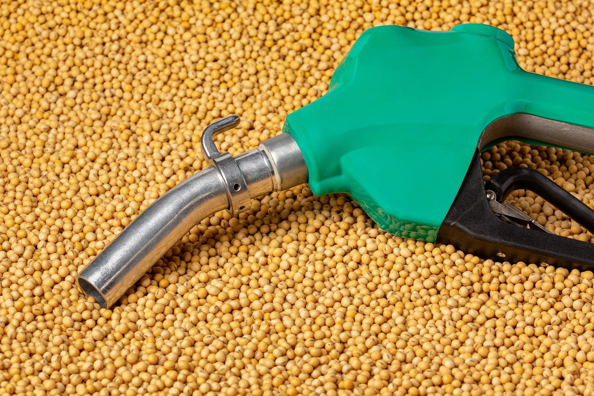 ANP nega pedido para suspender mistura de biodiesel no país