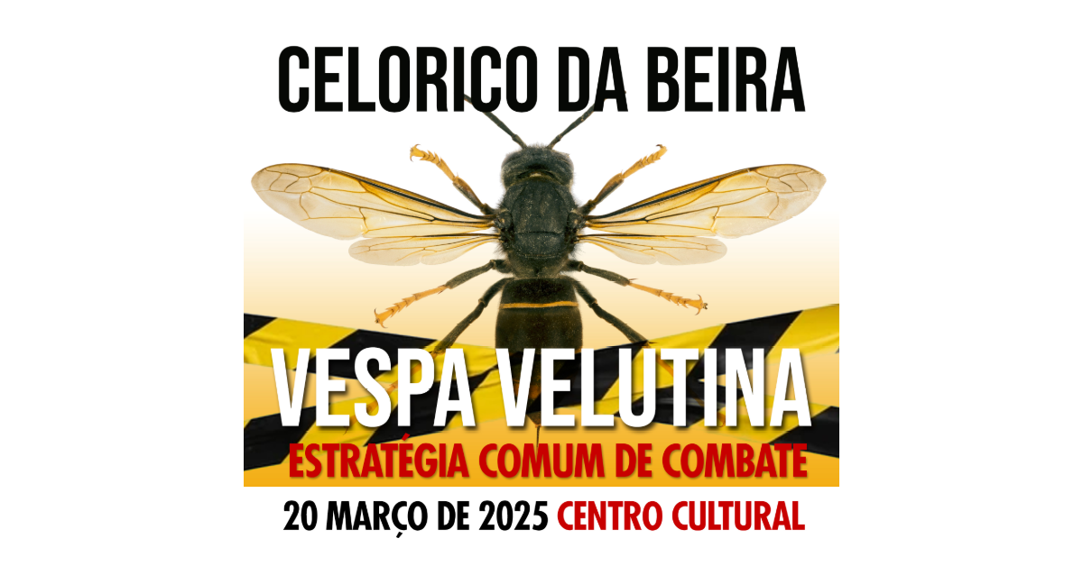 Ação informativa ” Vespa Velutina – Estratégia Comum de Combate” - 20 de março - Celorico da Beira