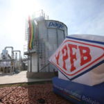 Testes de importação do gás de Vaca Muerta ao Brasil foram concluídos, diz estatal boliviana | Empresas