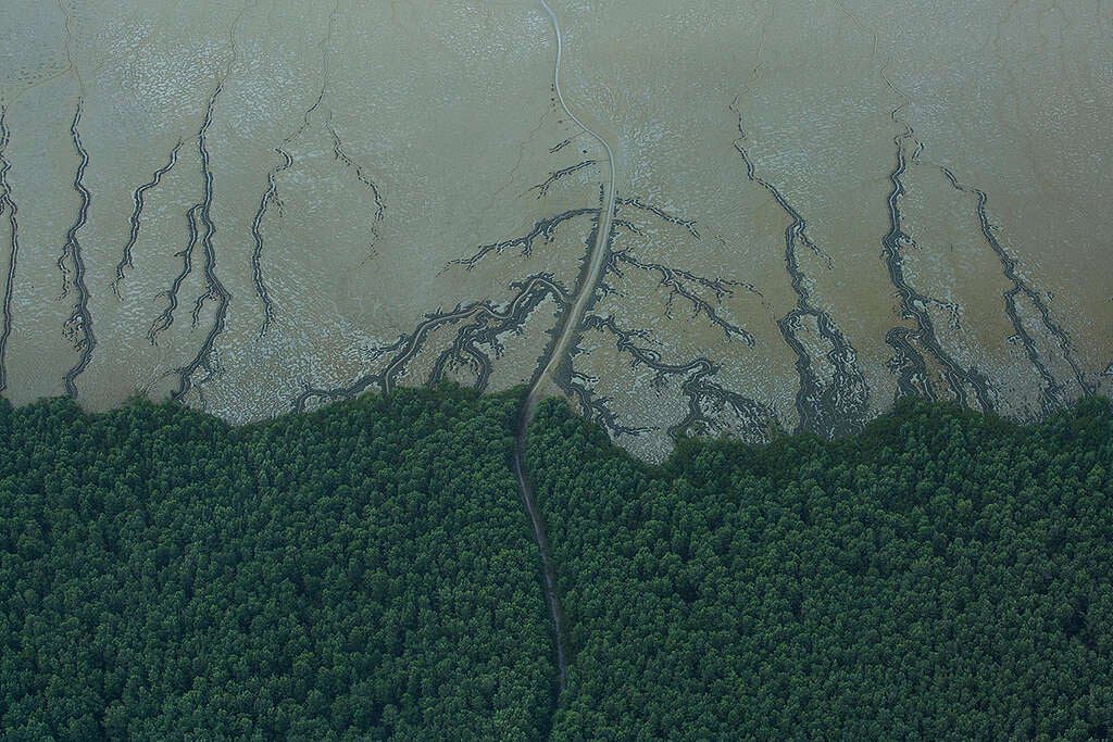 MPF recomenda à ANP que suspenda leilão de 47 blocos na foz do Amazonas - JOTA