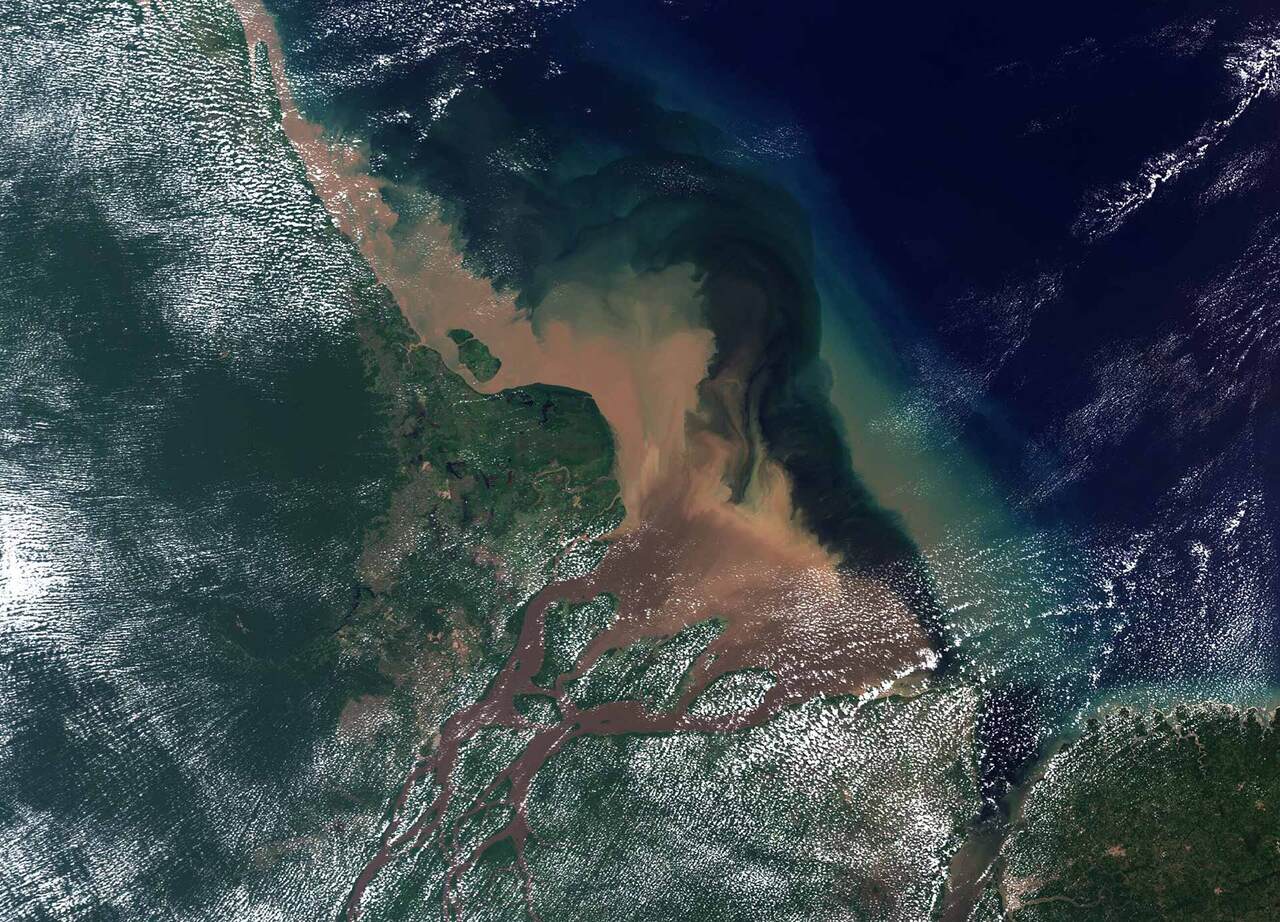 Petrobras arrematou os blocos que queria na Bacia da Foz do Amazonas, diz diretora