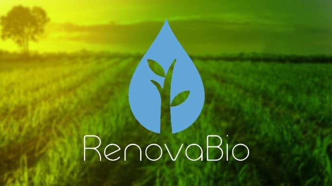 RenovaBio: ANP aprova nova norma para certificação de biocombustíveis
