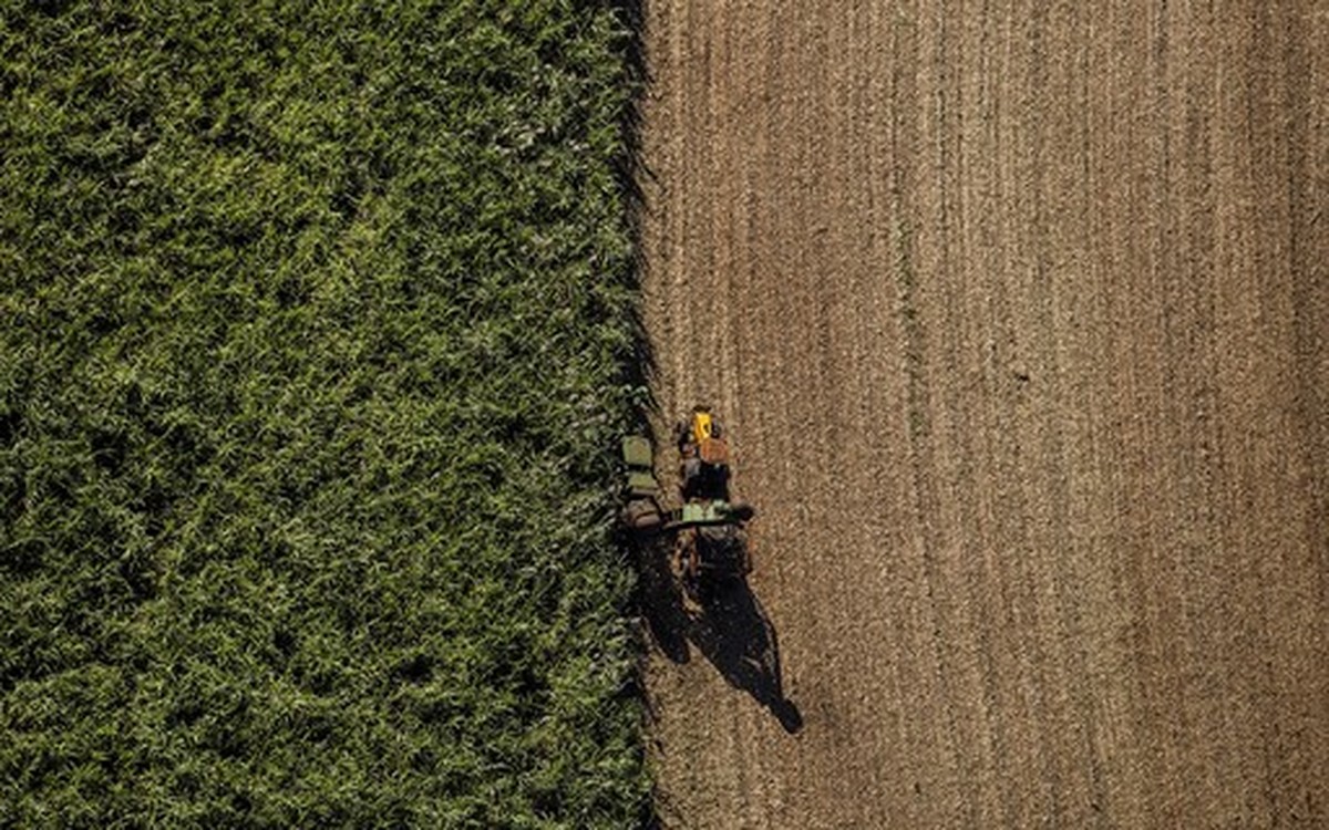 Justiça suspende divulgação de distribuidoras inadimplentes com RenovaBio - Globo Rural