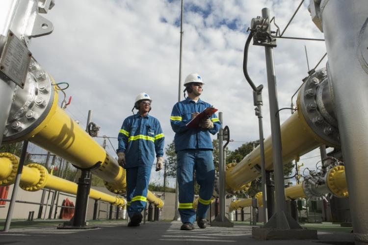 Transportadoras tentam frear distribuidoras enquanto ANP debate regulação de gasodutos