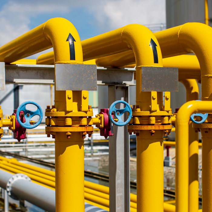 ARSP participa de Consulta Pública da ANP e destaca competências regulatórias estaduais