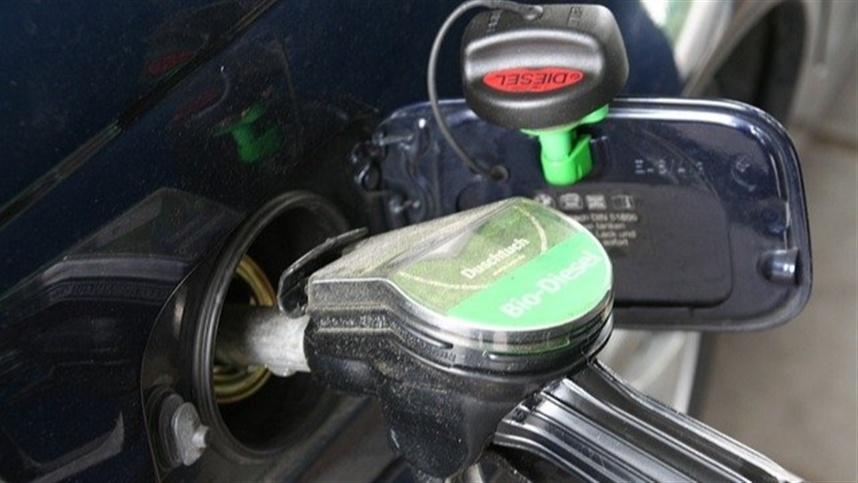 “A análise do IPTL mostra que a queda se refletiu nos dois tipos de diesel"