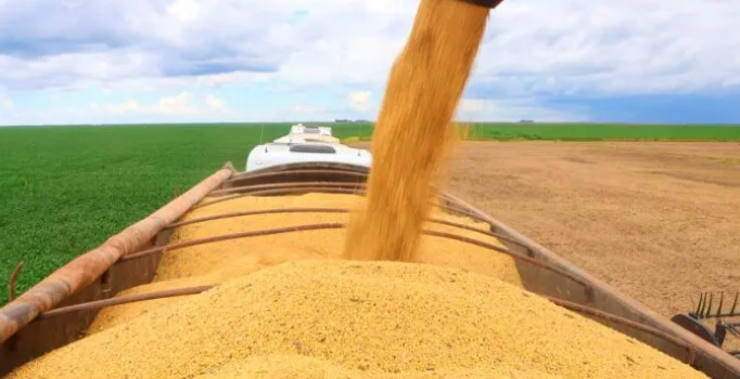 Mercado de grãos segue lento e produtor adota postura estratégica - SBA1