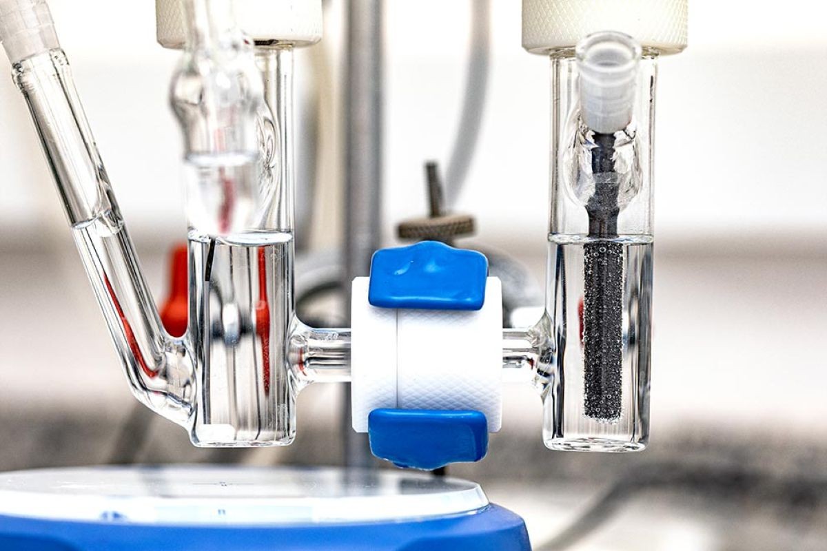 Pesquisas em combustíveis sustentáveis fortalecem bioeconomia