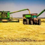 Semente de arroz impulsiona produção no Baixo Limpopo para 2025-2026