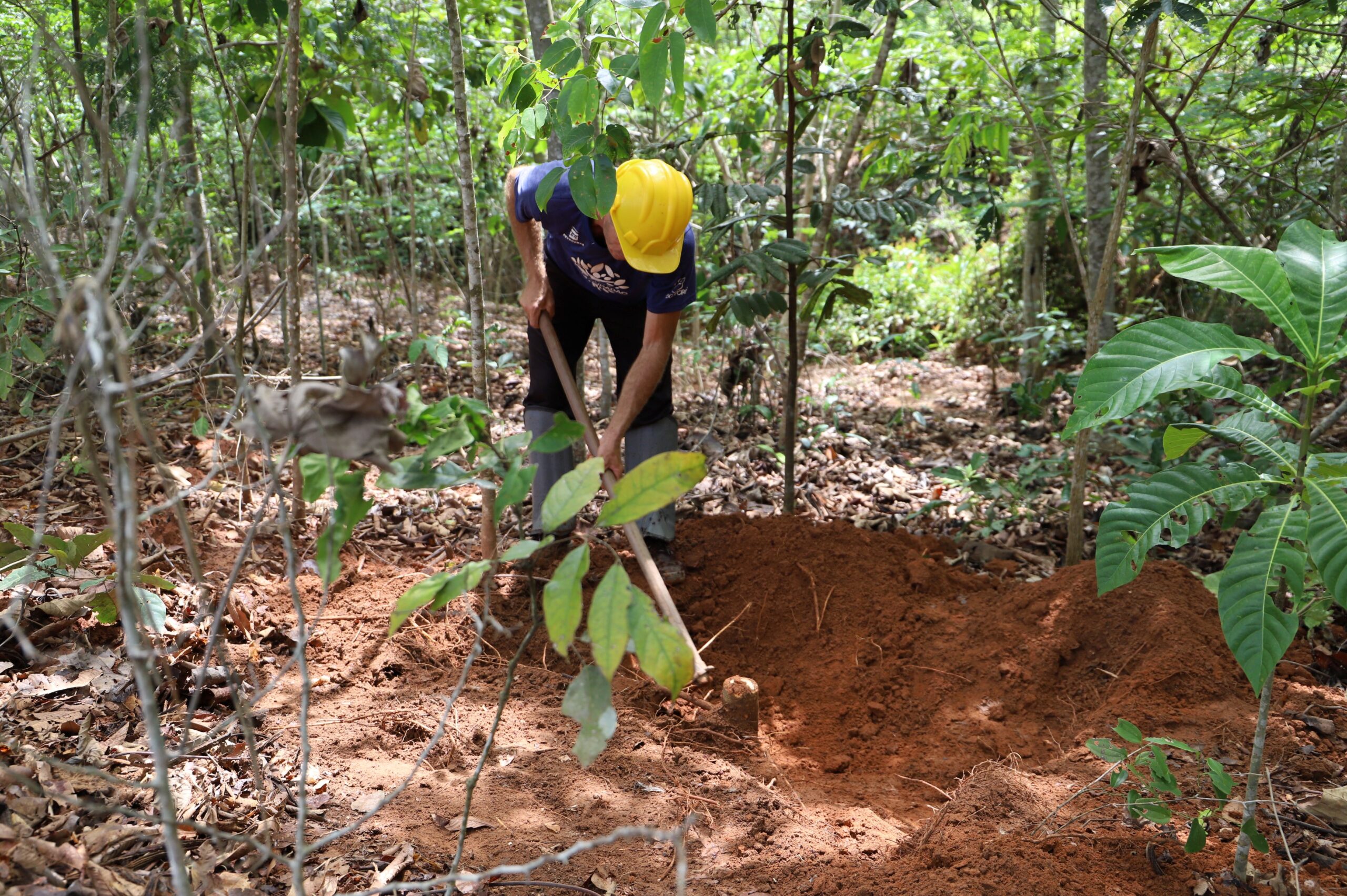 Projeto R$ 100 milhões vai mapear estoques de carbono no Brasil