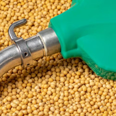 Mistura de 16% de biodiesel no diesel pode demandar 3 milhões de toneladas de soja Mistura de 16% de biodiesel no diesel pode demandar 3 milhões de toneladas de soja