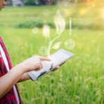 Chegada do inverno reforça o papel do clima e da inovação na produtividade…