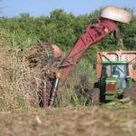 Safra atual deve ser uma das piores para o setor sucroenergético | Cana